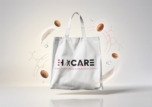 Dịch vụ in túi giấy canvas theo phong cách riêng