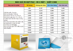 Kepj-file-in-1-mặt-c-300