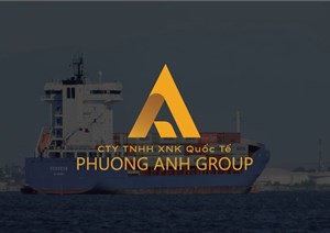 Phương Anh Group